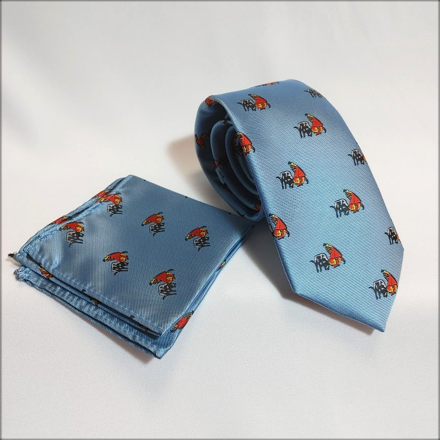 CONJUNTO CORBATA Y PAÑUELO