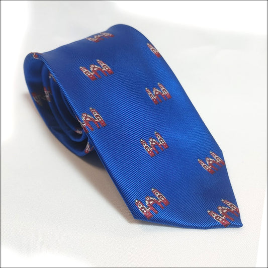 CORBATA PORTADA FERIA