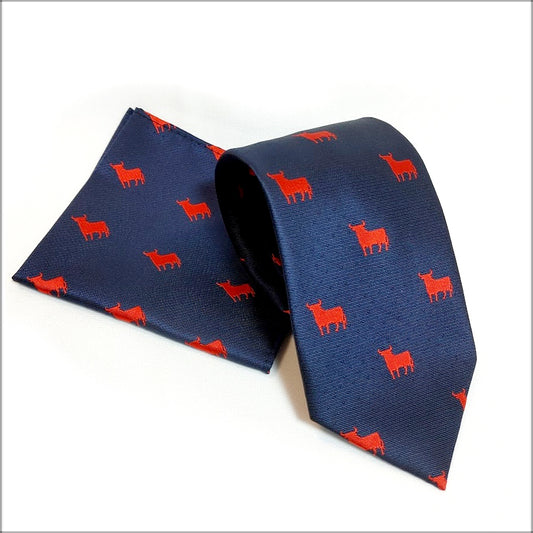 CORBATA Y PAÑUELO