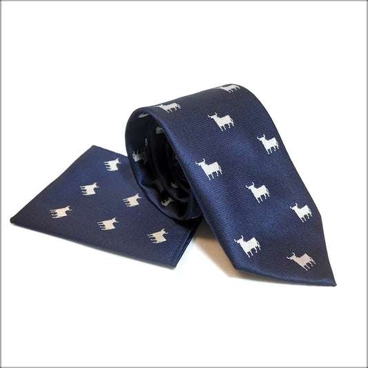 CORBATA Y PAÑUELO